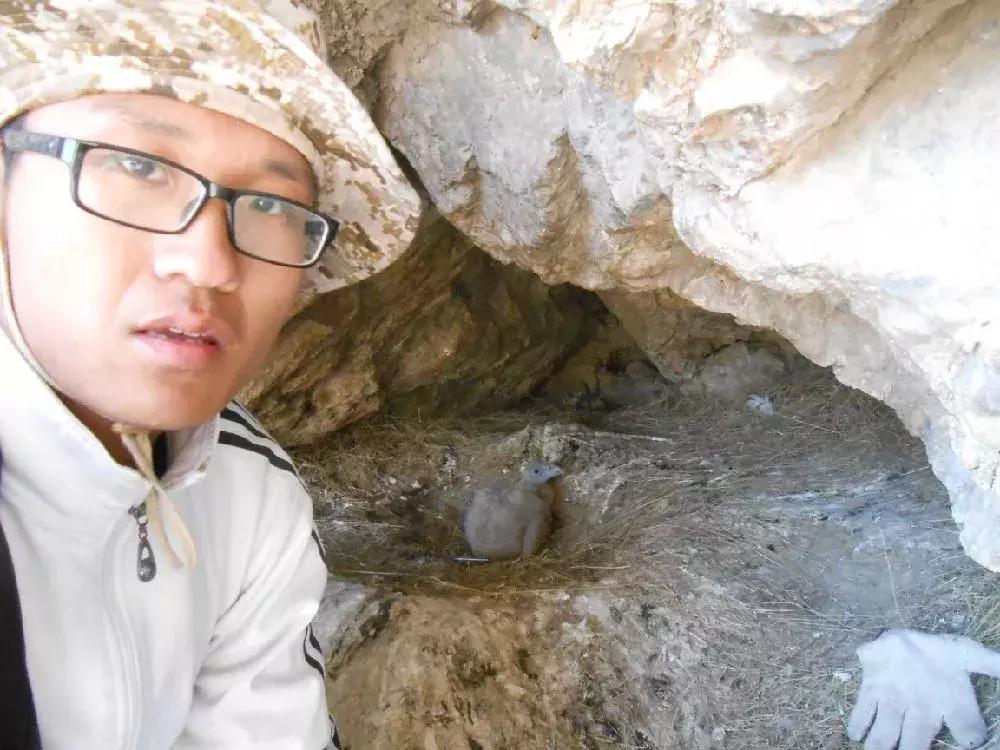 在山里遇到野猪怎么保护自己,在野外遇到野猪该怎么保命