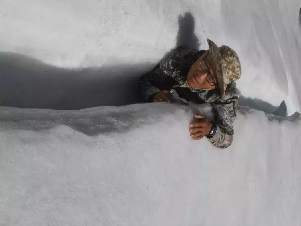 在山里遇到野猪怎么保护自己,在野外遇到野猪该怎么保命