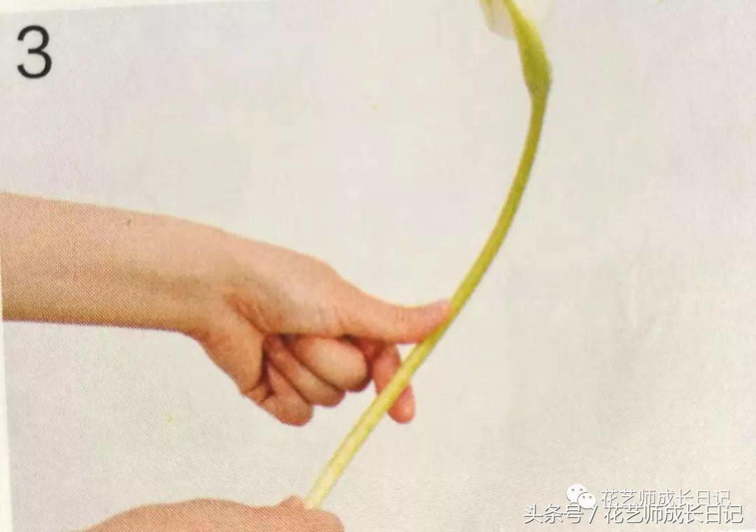 想要做一束花要怎么做,要做一束漂亮的花该怎么做