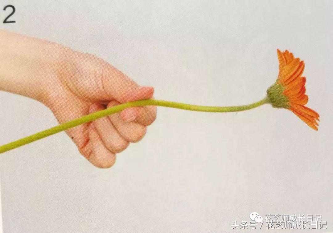 想要做一束花要怎么做,要做一束漂亮的花该怎么做