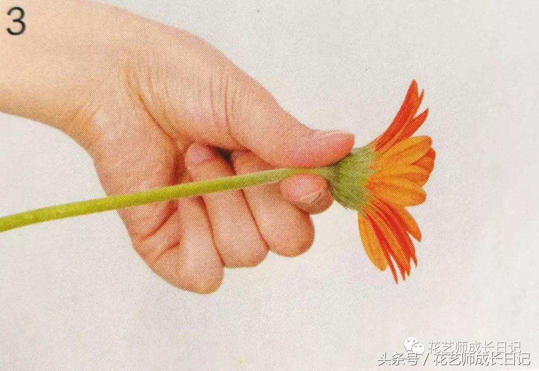 想要做一束花要怎么做,要做一束漂亮的花该怎么做