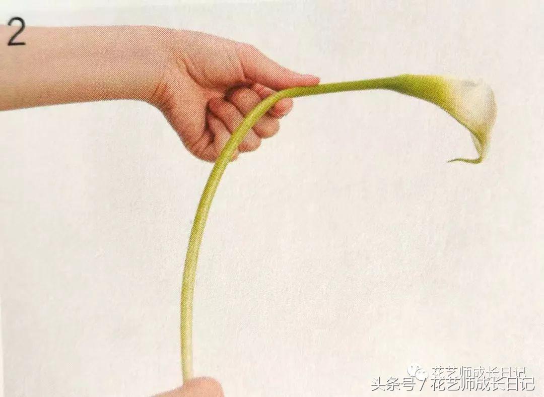 想要做一束花要怎么做,要做一束漂亮的花该怎么做