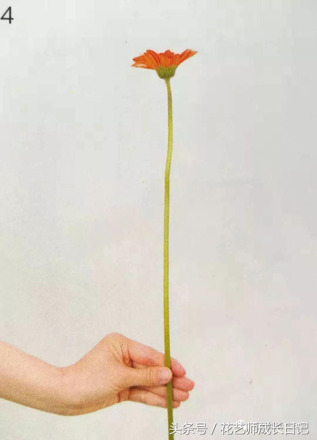 想要做一束花要怎么做,要做一束漂亮的花该怎么做