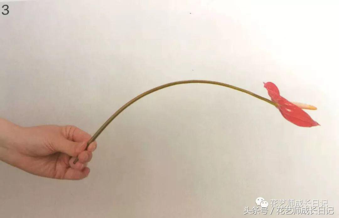 想要做一束花要怎么做,要做一束漂亮的花该怎么做