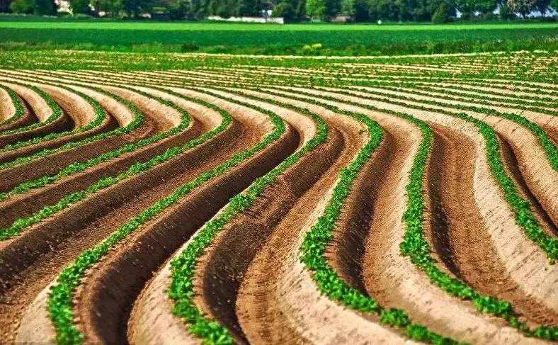 入股投资基本知识,集体建设土地入股的六种模式