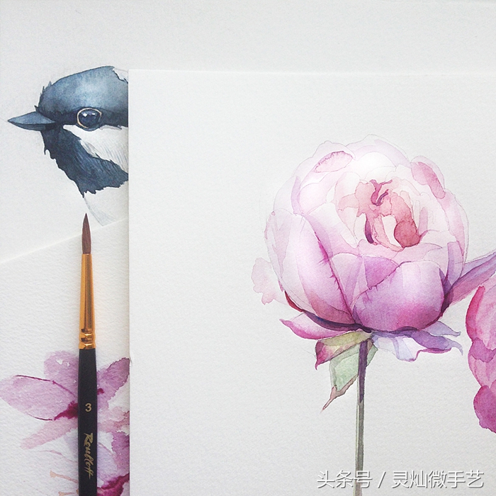眼前一亮清雅通透的水彩作品,好看又简单的水彩教程