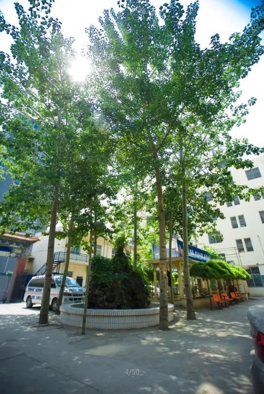 环境卫生整洁安全设施完备,环境整洁安静卫生设施完善