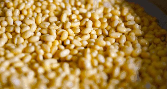 绿萝吊兰爬墙用什么,绿萝吊兰怎么爬墙图解