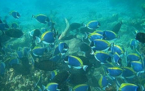 世界神秘事件未解之谜有声,神秘事件之未解之谜合集