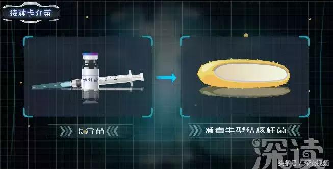 结核菌在皮肤上会被感染吗,结核菌会通过尿液传播吗