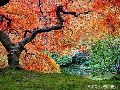 色不迷人人自迷何解,色不迷人人自迷什么意思