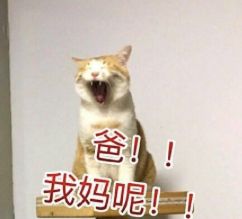 藕汤被“下药”,代购假“直播”,转发谣言能赚钱……