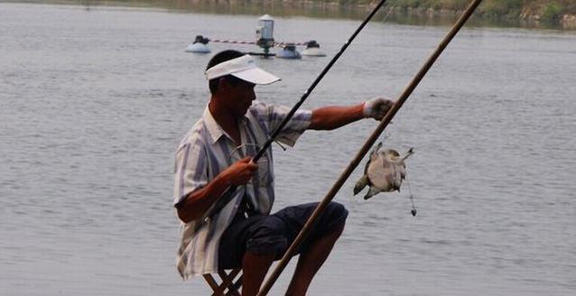 怎么钓甲鱼用几号钩,钓甲鱼怎么放钩怎么选择钓点