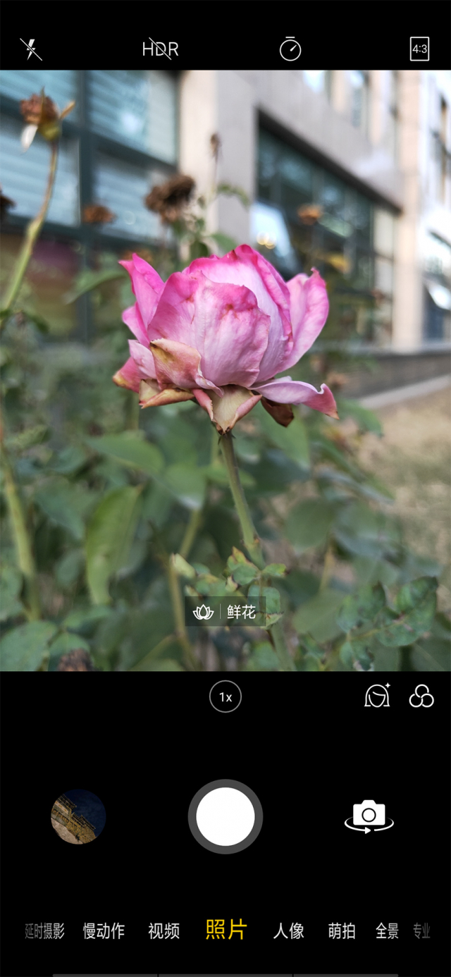 oppo口袋机,口袋云台拍照神器