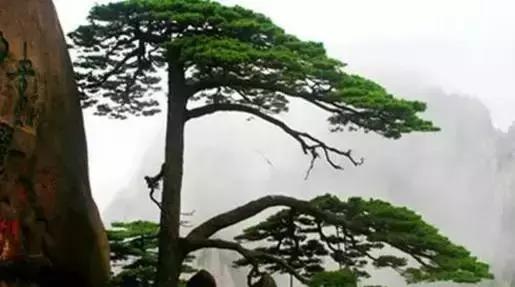 34个省市符号大全,人民日报34个省份文化符号