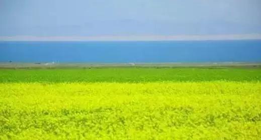 34个省市符号大全,人民日报34个省份文化符号