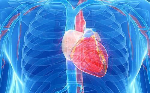 50岁吃什么补血管最好,50岁后多吃护血管食物