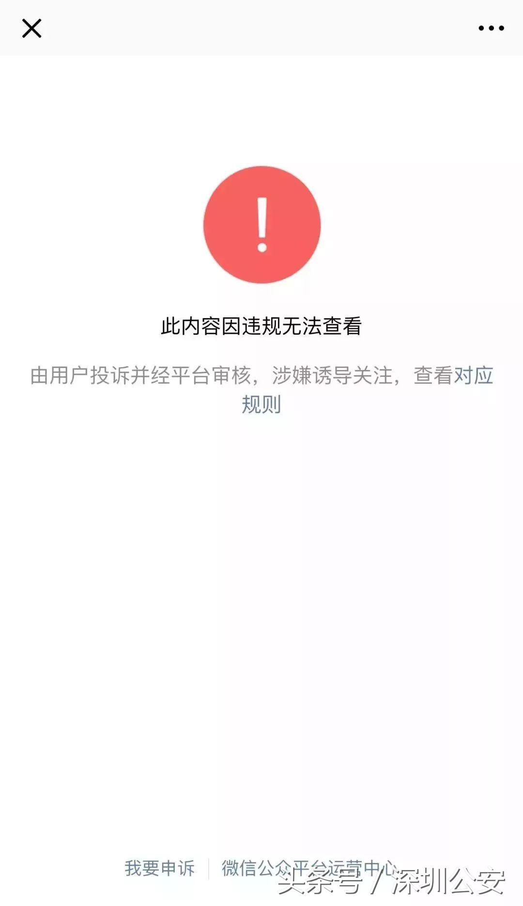 锦鲤活动什么时候开始的,锦鲤活动的关键点