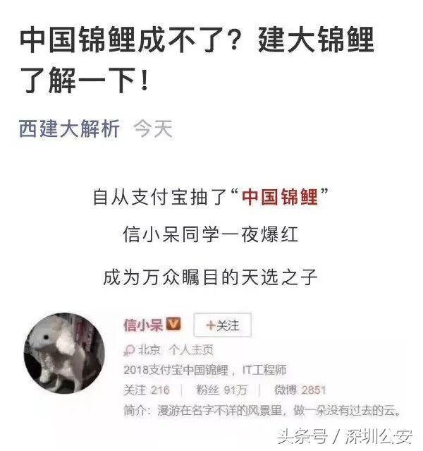 锦鲤活动什么时候开始的,锦鲤活动的关键点