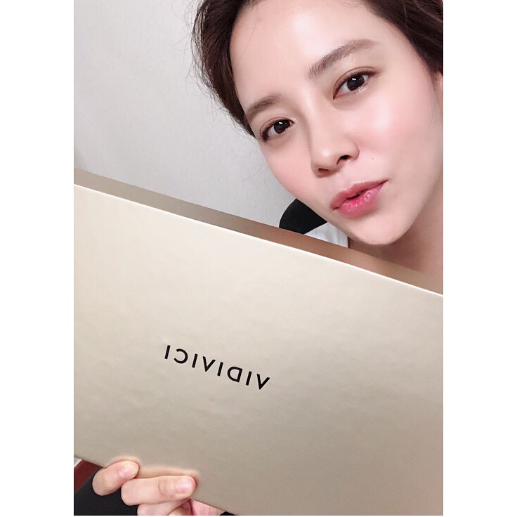 河智苑的韩国艺人,河智苑韩流