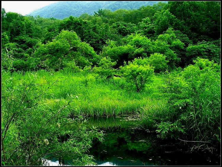 12生肖2019年运势抢先看,12生肖2019年每日运势怎样