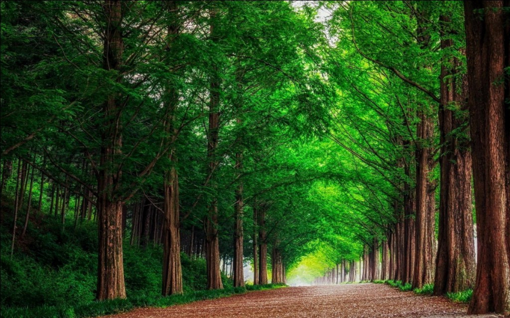 12生肖2019年运势抢先看,12生肖2019年每日运势怎样