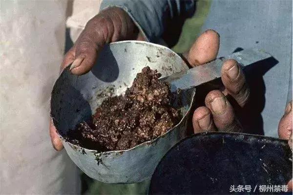 禁毒创示范柳州在行动,柳州禁毒创示范