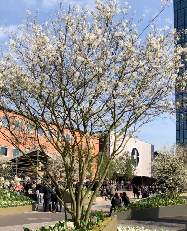 bigbang褰╄櫣鑵曡〃,bigbang鍋跺儚澶╁洟