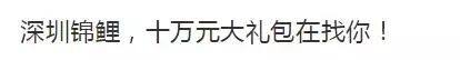 锦鲤到底是怎么火的,锦鲤为什么火了