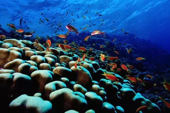 这里到底有什么特别之处，让众多明星沉迷在此？