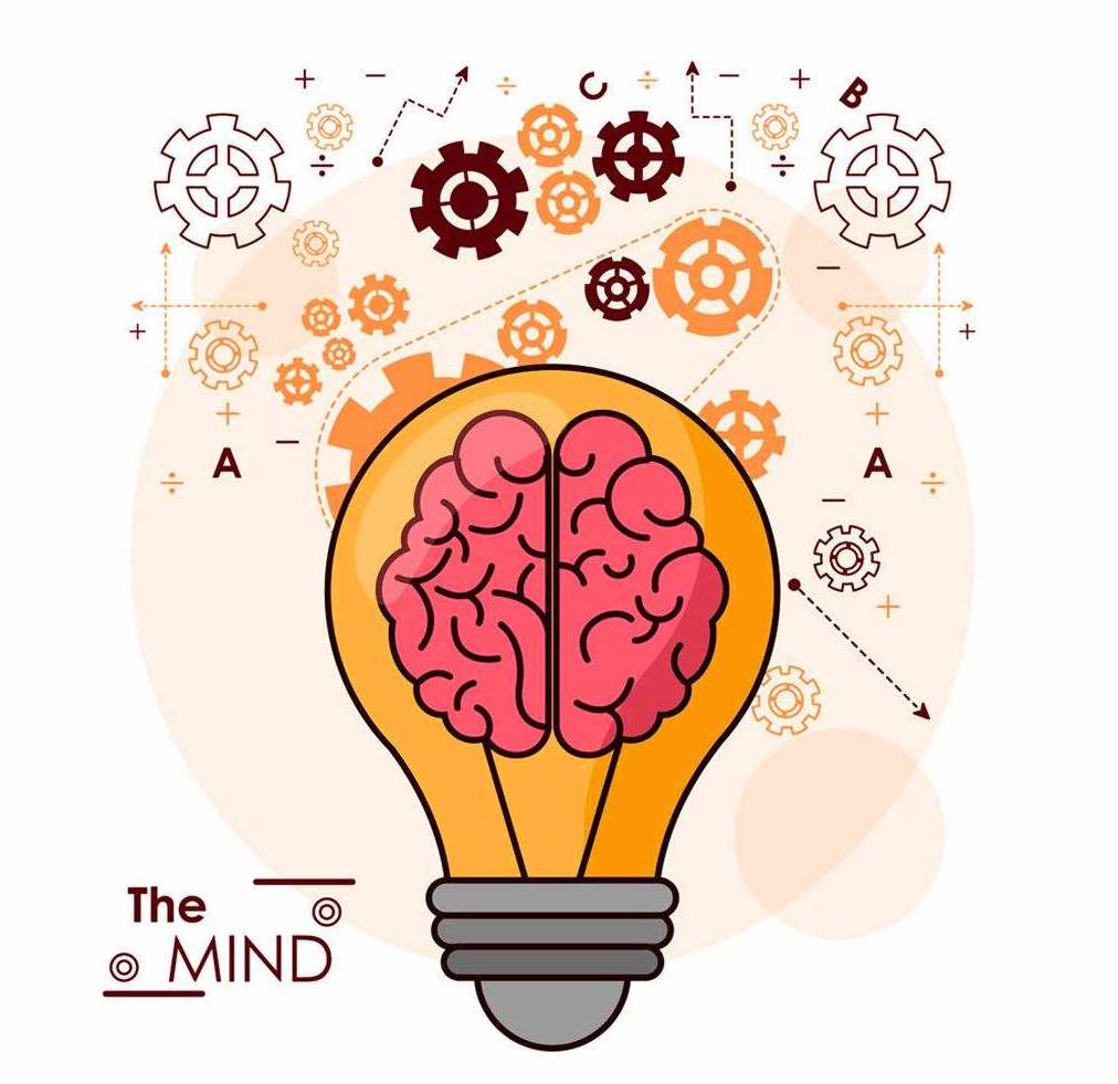 专注力分龄训练,专注力主要训练孩子哪些方面呢