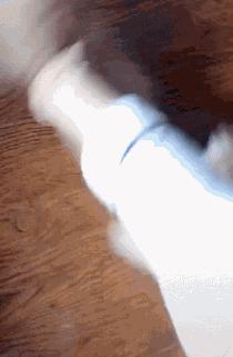 20秒转狗40圈！这家网红店，求求你放过狗吧！