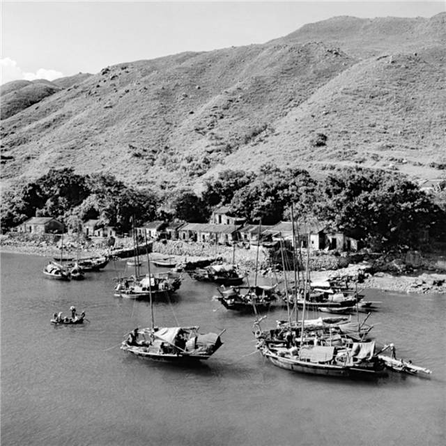 正宗的鱼蛋是什么样子的,正宗鱼蛋