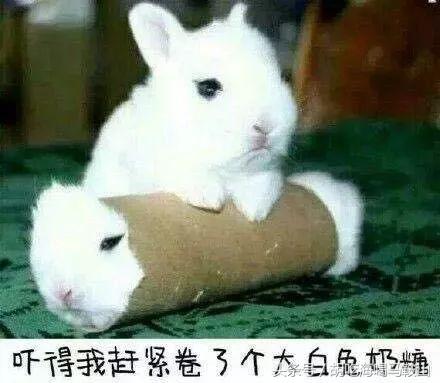 旺旺牛奶卫衣,旺旺加绒卫衣秋冬新品专场