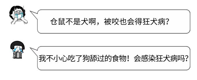 被毒蚂蚁咬了打狂犬疫苗有影响吗,被蛇虫鼠蚁咬了需要查血吗