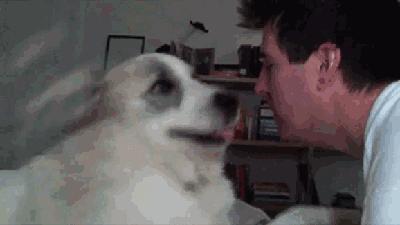 被毒蚂蚁咬了打狂犬疫苗有影响吗,被蛇虫鼠蚁咬了需要查血吗