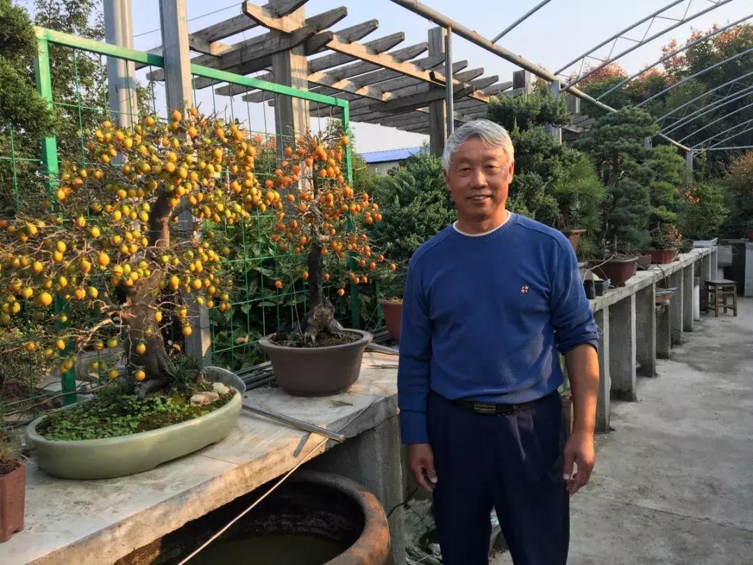 私人田园盆景园设计图,农家盆景园设计图