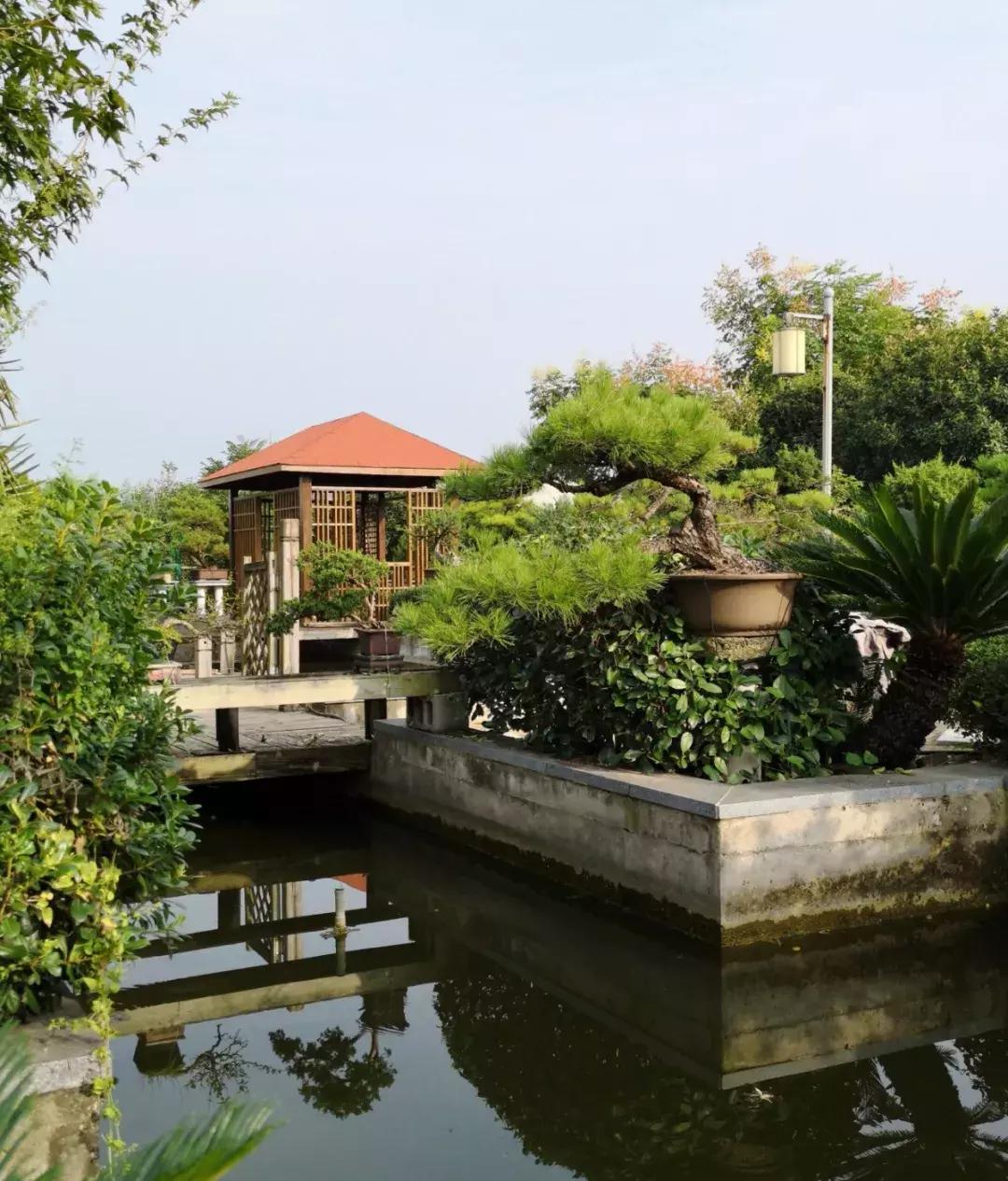 私人田园盆景园设计图,农家盆景园设计图