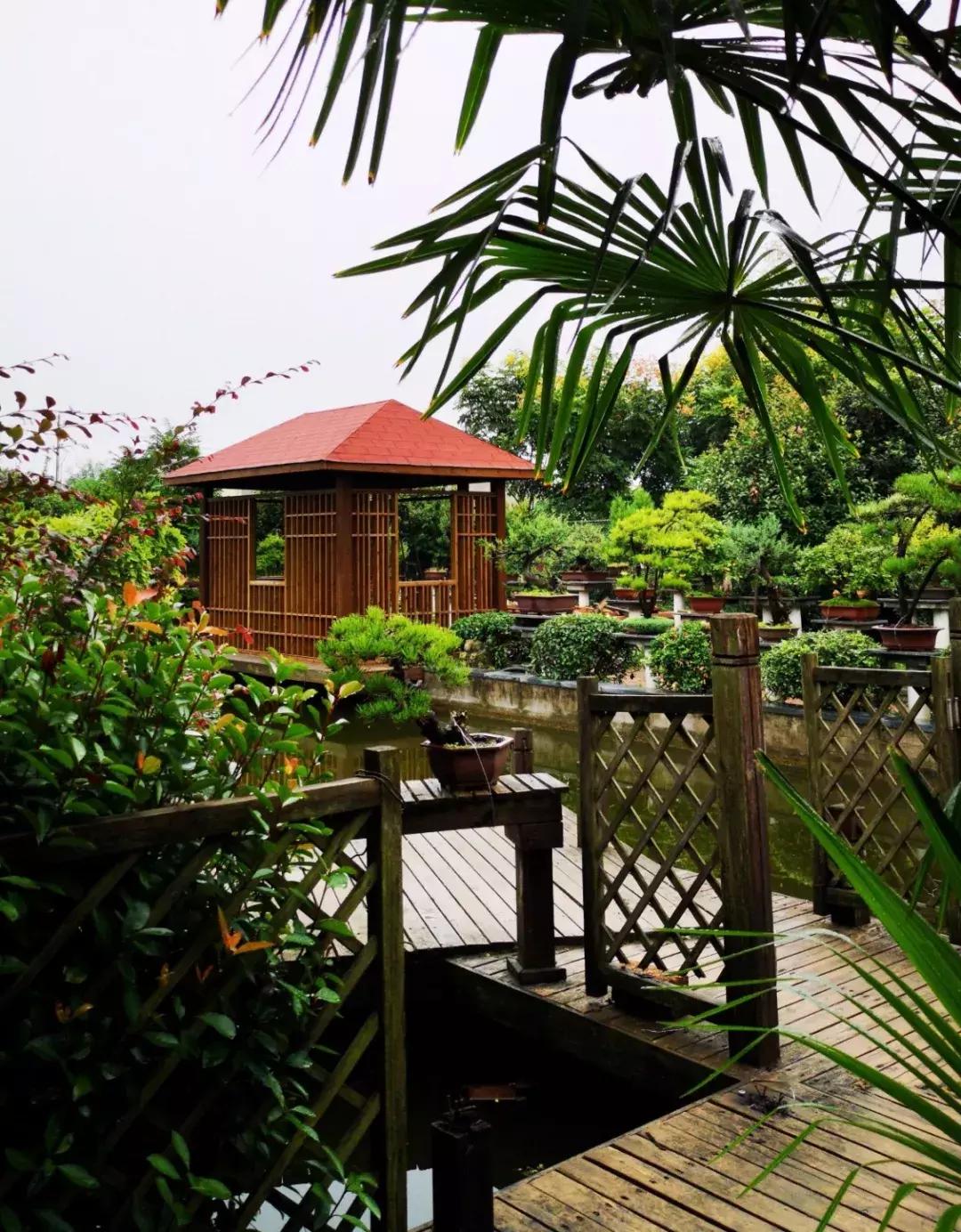 私人田园盆景园设计图,农家盆景园设计图