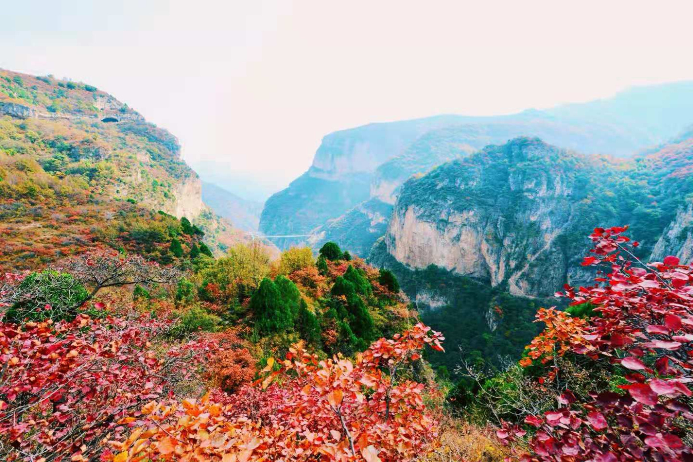 邢台云梦山“红叶节”开启！上万亩黄栌、五角枫勾勒太行山独特美景