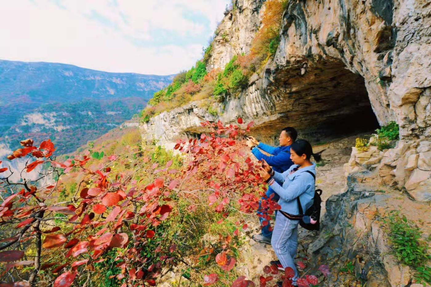 邢台云梦山“红叶节”开启！上万亩黄栌、五角枫勾勒太行山独特美景