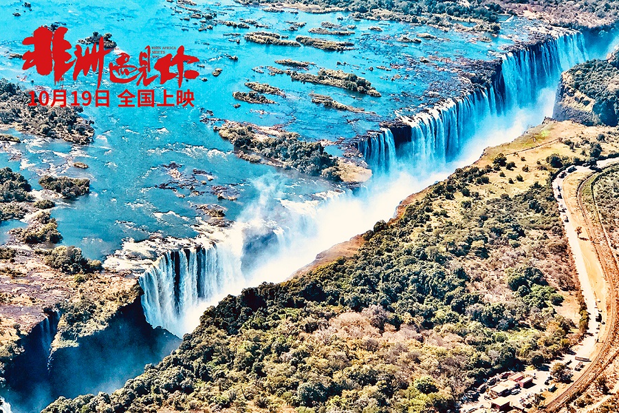 《非洲遇见你》曝“草原的枪声”特辑肾上腺素飙升引期待