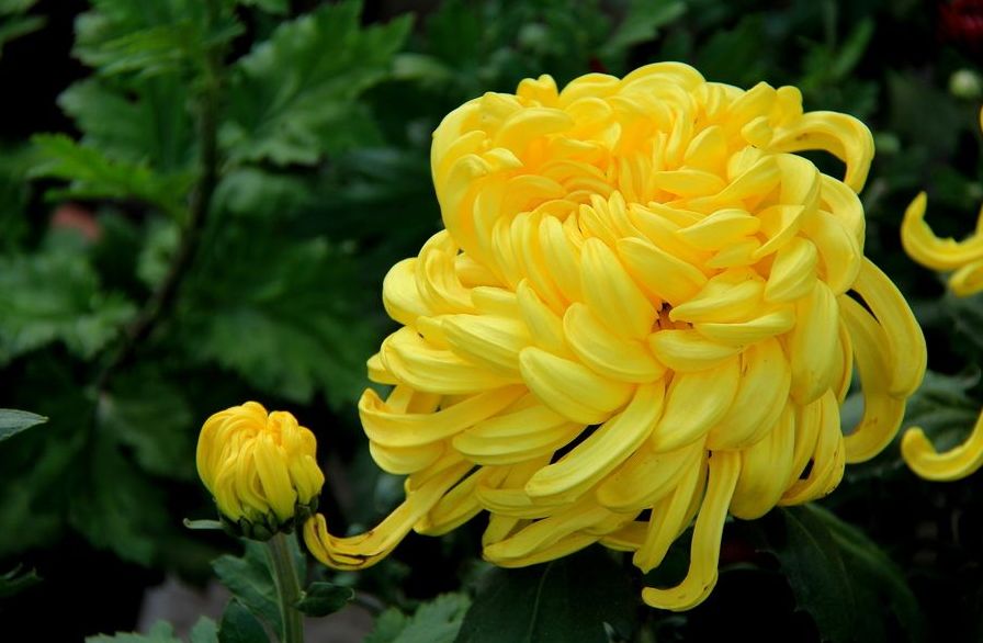 诗词原创诗句,原创诗词句