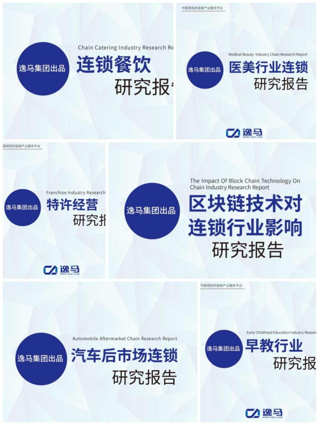 战略管控与运营,战略运营管控方案