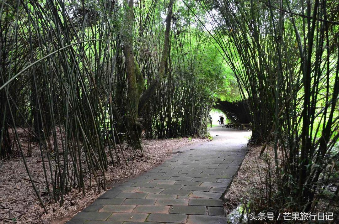 韶关丹霞山旅游广东,芒果旅游日记云南攻略