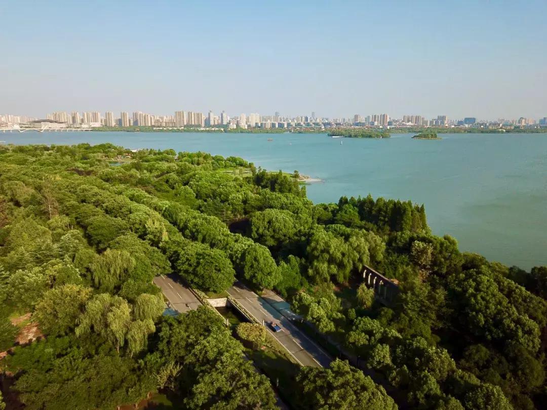 无锡鲁能万豪酒店宣传,无锡酒店万豪集团