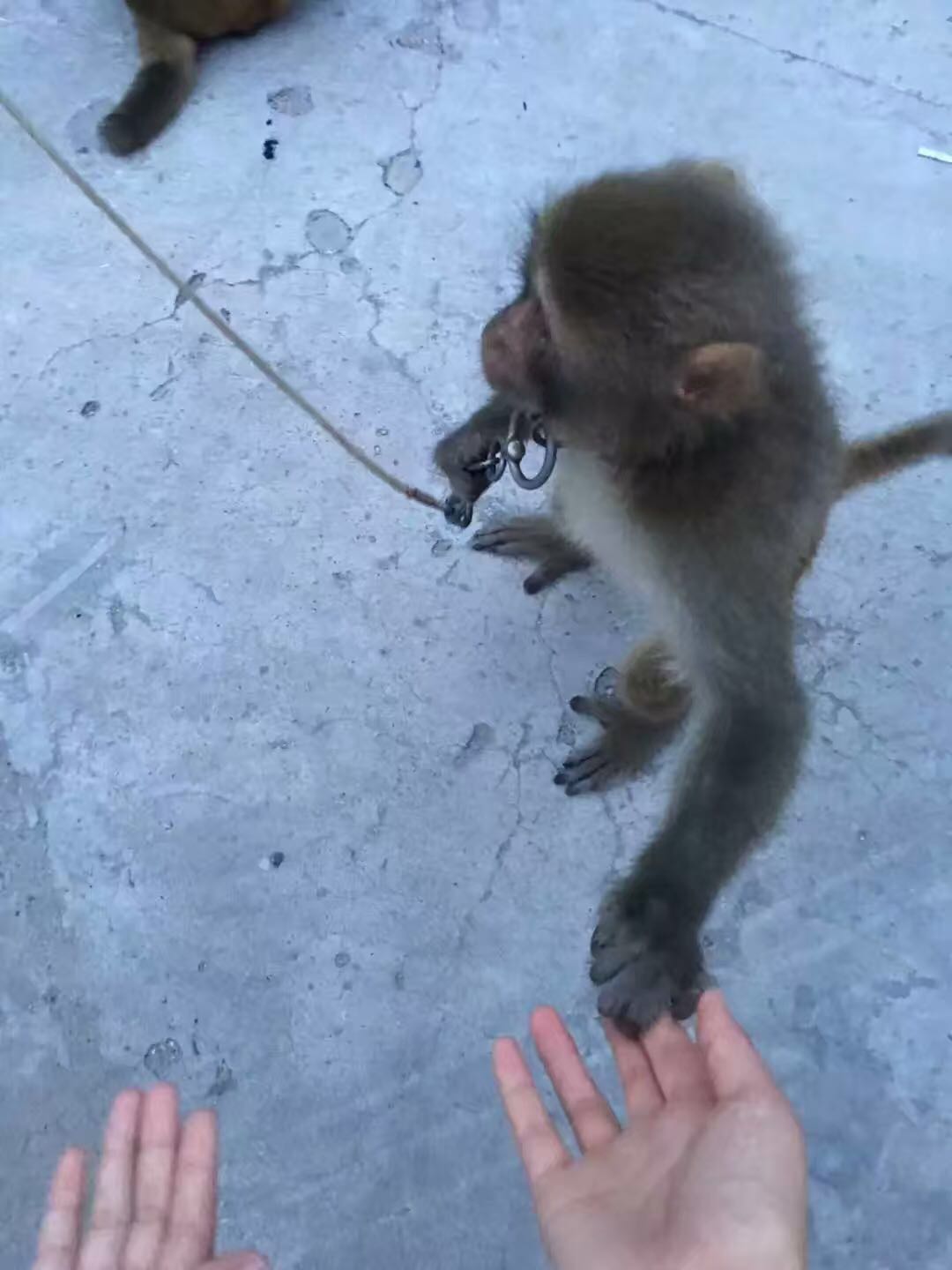 我的故事十大中文金曲,我的故事分享总结