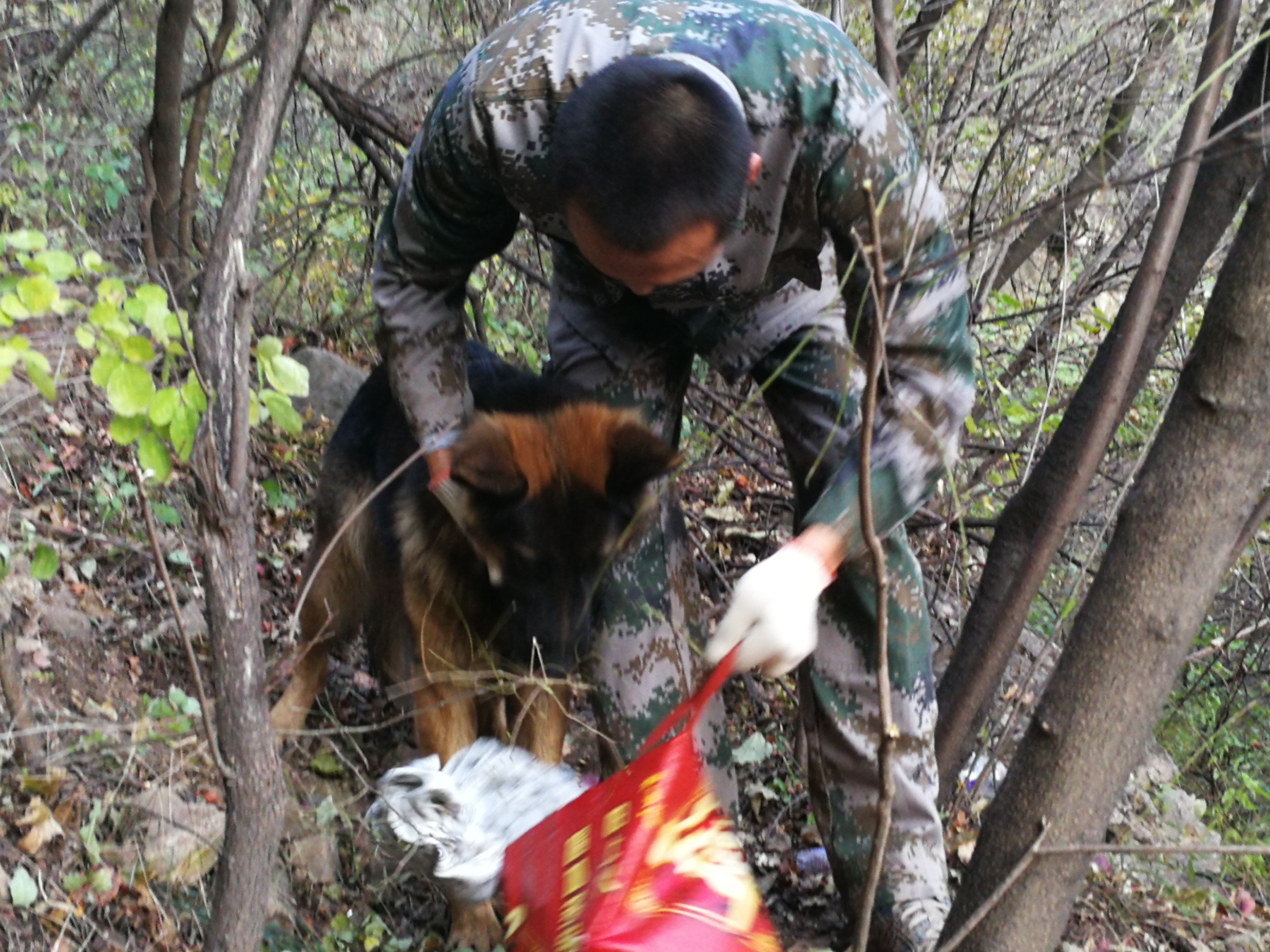 石家庄一驴友爬山失联，3天！200人出动！记者直击大搜救！