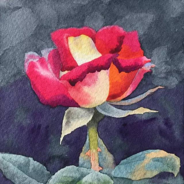 情人节用丙烯画画,情人节教我们画玫瑰