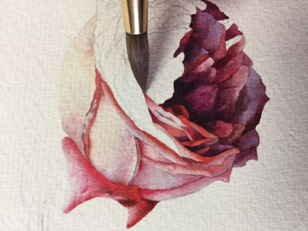 情人节用丙烯画画,情人节教我们画玫瑰